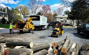 Best Lawn Pest Prevention  in Bostonia, CA
